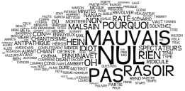 Nuage des mots spcifiques des avis ngatifs